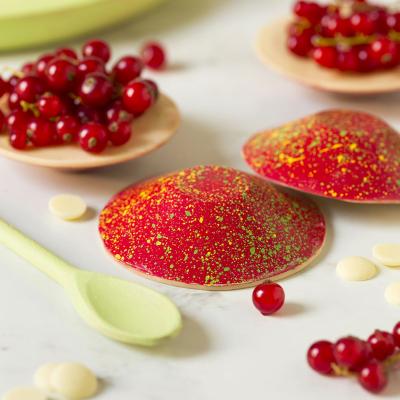 Molde policarbonato para bombones plato redondo x6