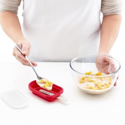 Set 4 moldes Helado apilable