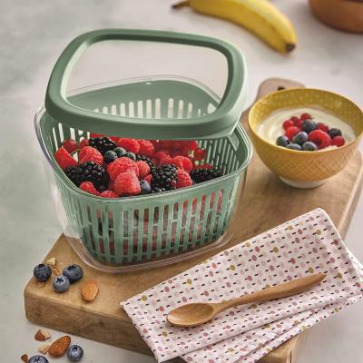 Fiambrera con rejilla fruta, verdura y pescado