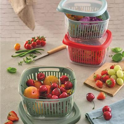 Fiambrera con rejilla fruta, verdura y pescado