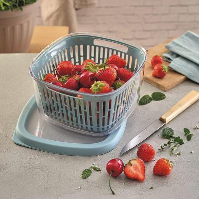 Fiambrera con rejilla fruta, verdura y pescado