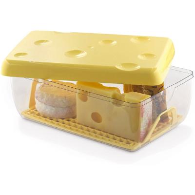 Quesera cheese rectangular 26x17 cm