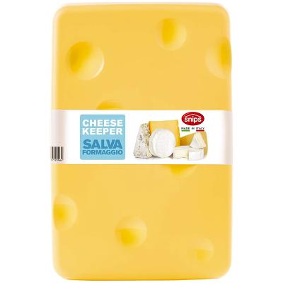Quesera cheese rectangular 26x17 cm