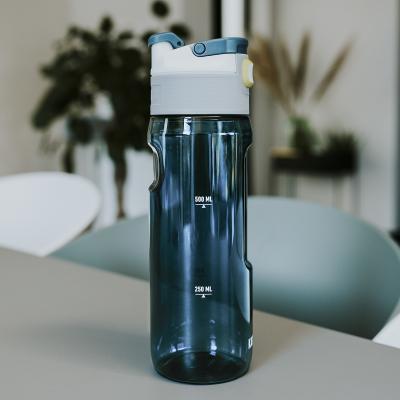 Botella de agua Elton Kambukka 750 ml Wild Storm