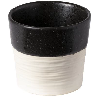 Taza Caf� Notos