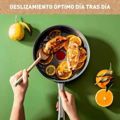 Guisera antiadherente cer�mico Renew Tefal 24 cm