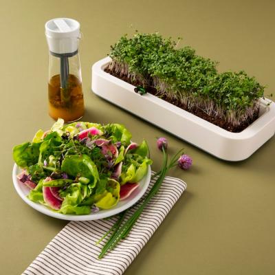 Mezclador vinagretas y alios Emulstir