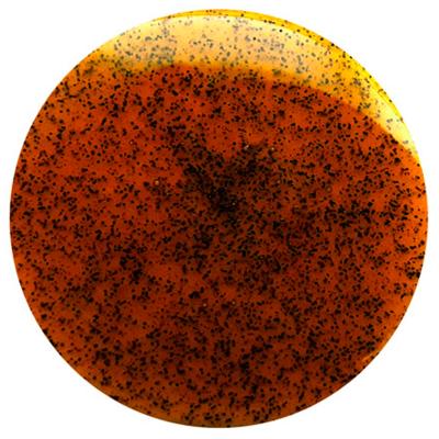 Extracto de Vainilla Bourbon (20g/kg) Chef 100 ml