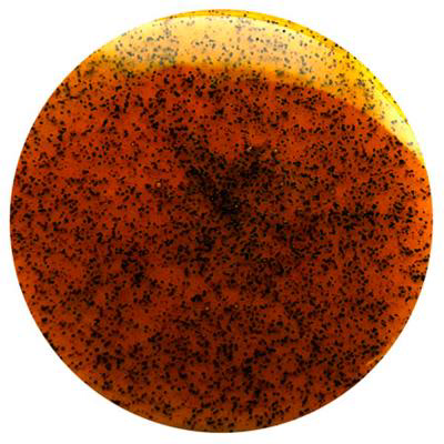 Extracto de Vainilla Bourbon (20g/kg) Chef 100 ml