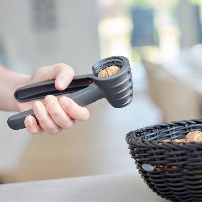 Cascanueces y descorchador champagne abrazadera