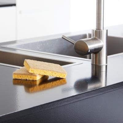 2 esponjas fregaplatos fibra de coco