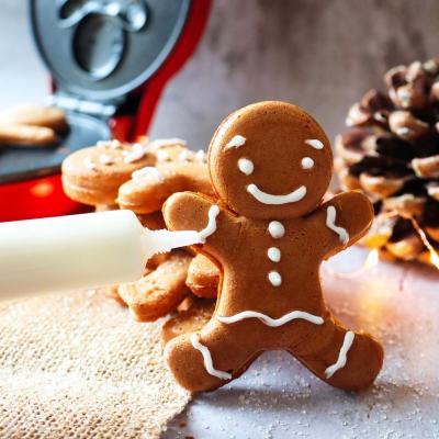 Preparado para Gofres de Ginger 190 g