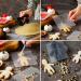 Set 2 cortadores galletas 4 plantillas Gingerdread