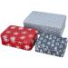 Caja metal Winter gris Abeto