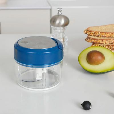 Mini picadora ajos, hierbas verdura 170 ml