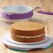 Set 2 moldes metlicos redondos Wilton 23 cm