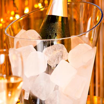 Cubitera transparente botella Boat