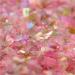 Copos comestibles brillo iridiscente Magic hada