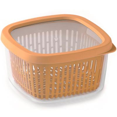 Fiambrera con rejilla fruta, verdura y pescado