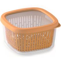 Fiambrera amb reixa fruita, verdura y peix