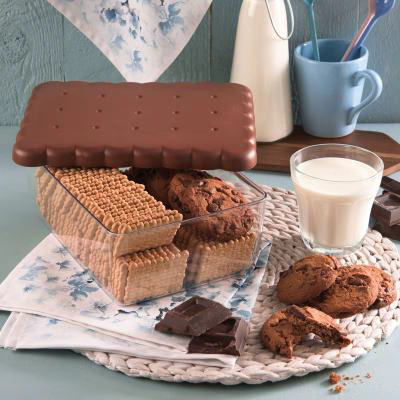 Caja guarda galletas Biscuit 24x18 cm