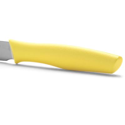 Esptula desayuno Arcos