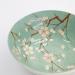 Bol japons Fujisakura Green