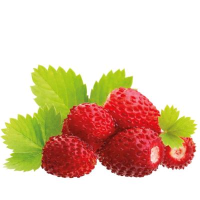 Pasta concentrada sabor Fresitas del bosque 100 g