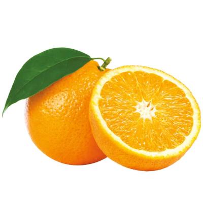 Pasta concentrada sabor Naranja 100 g