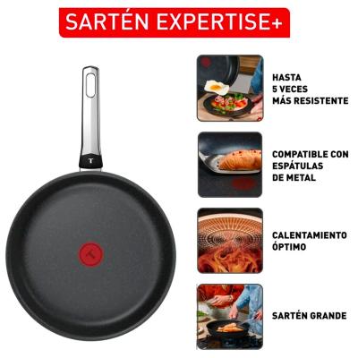 Sart�n Tefal Expertise+