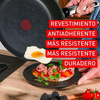 Sart�n Tefal Expertise+