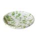 Plato rallador Musgo peque�o 12,5 cm